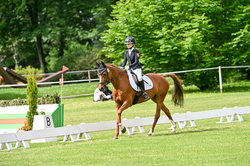  | 30052025 Dressur  (891) 