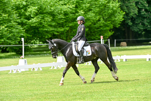  | 30052025 Dressur  (911) 