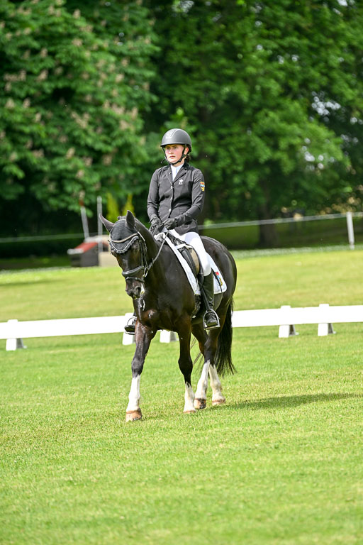  | 30052025 Dressur  (930) 