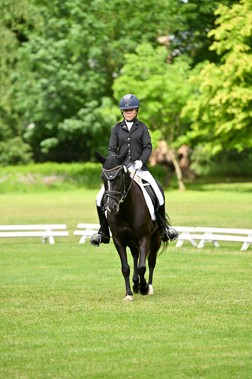  | 30052025 Dressur  (946) 