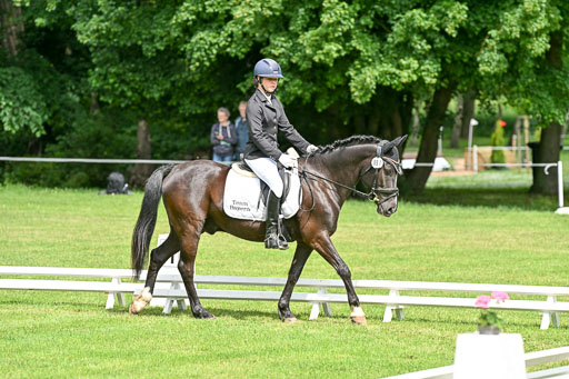  | 30052025 Dressur  (952) 