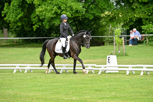  | 30052025 Dressur  (956) 