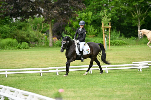  | 30052025 Dressur  (960) 