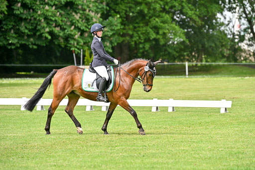  | 30052025 Dressur  (984) 