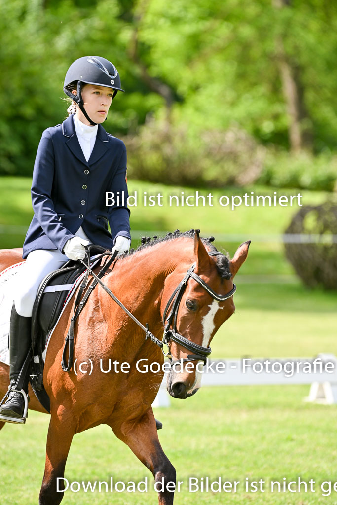  | 30052025 Dressur  (1006) 