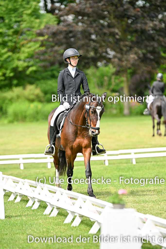  | 30052025 Dressur  (1020) 