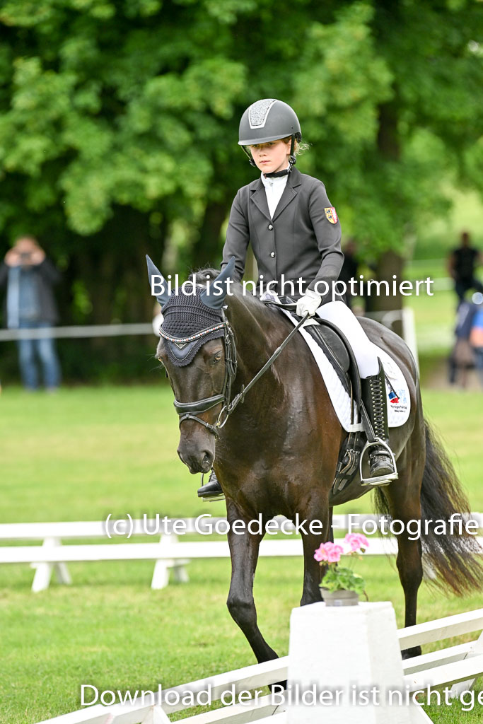  | 30052025 Dressur  (1054) 