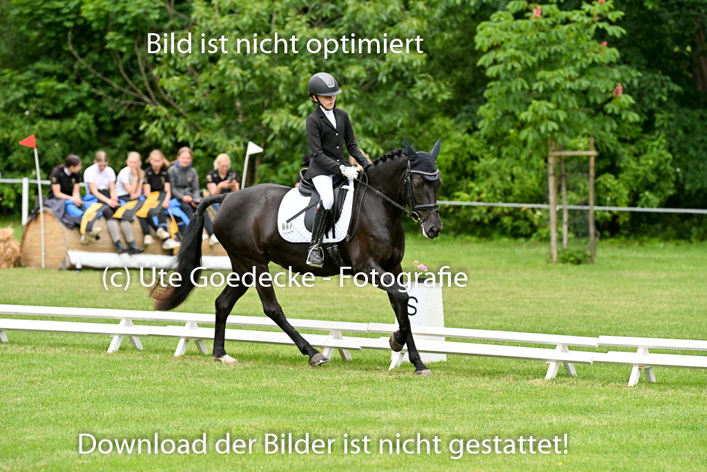  | 30052025 Dressur  (1060) 