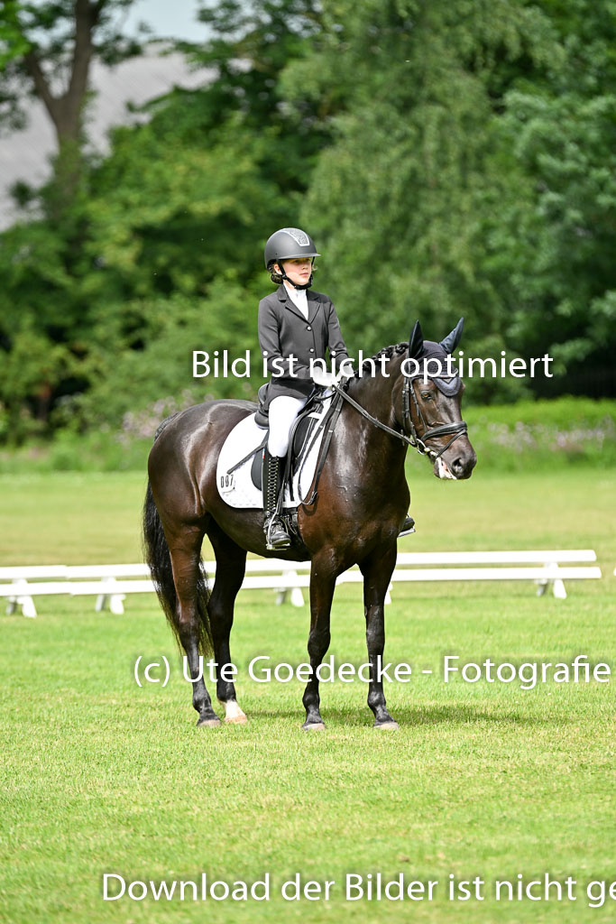  | 30052025 Dressur  (1072) 