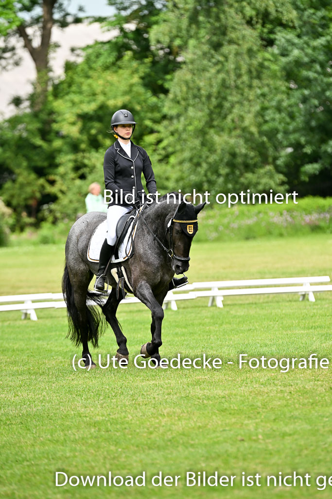  | 30052025 Dressur  (1080) 