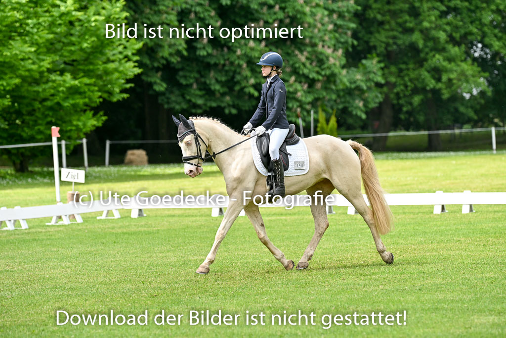  | 30052025 Dressur  (1086) 