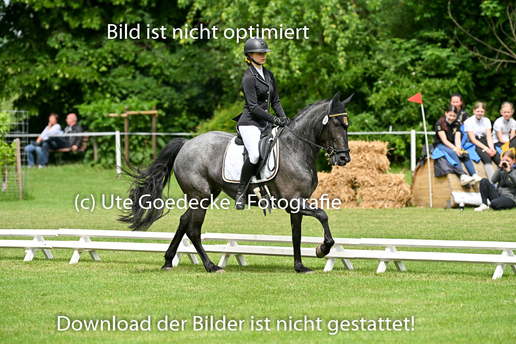  | 30052025 Dressur  (1098) 
