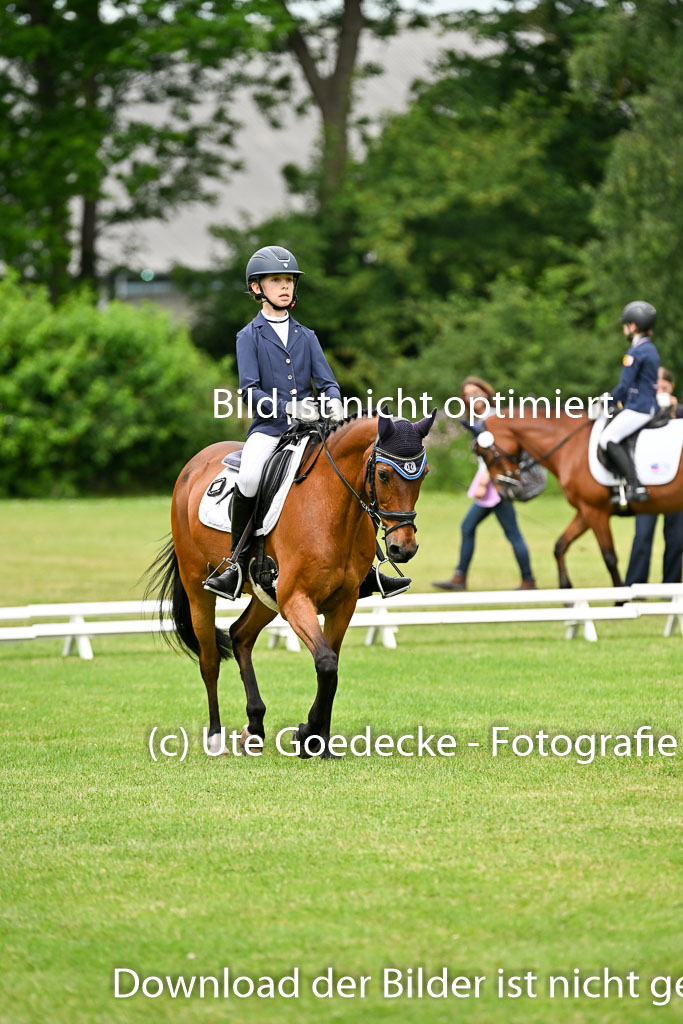  | 30052025 Dressur  (1125) 
