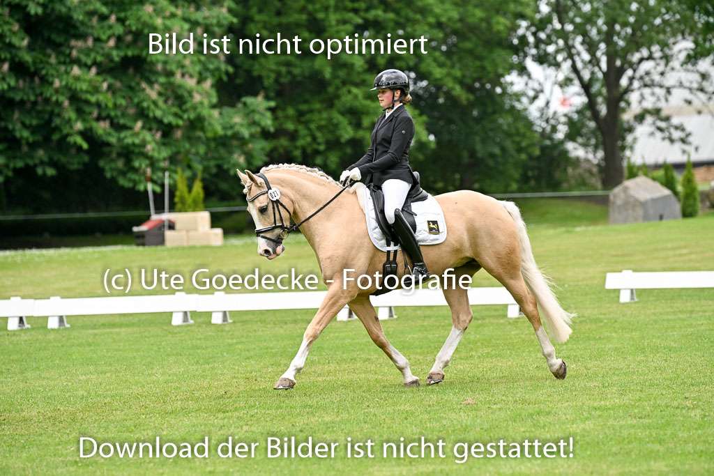 | 30052025 Dressur  (1136) 