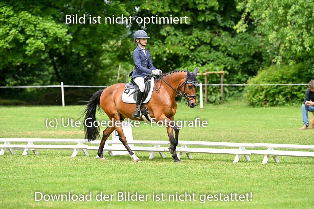  | 30052025 Dressur  (1148) 