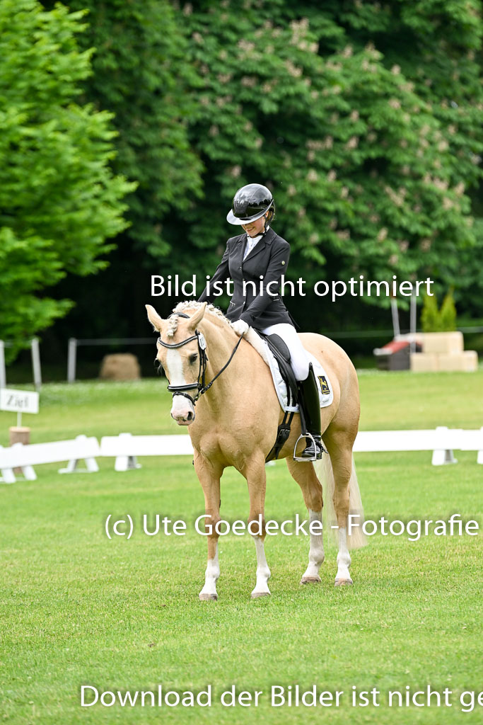  | 30052025 Dressur  (1161) 