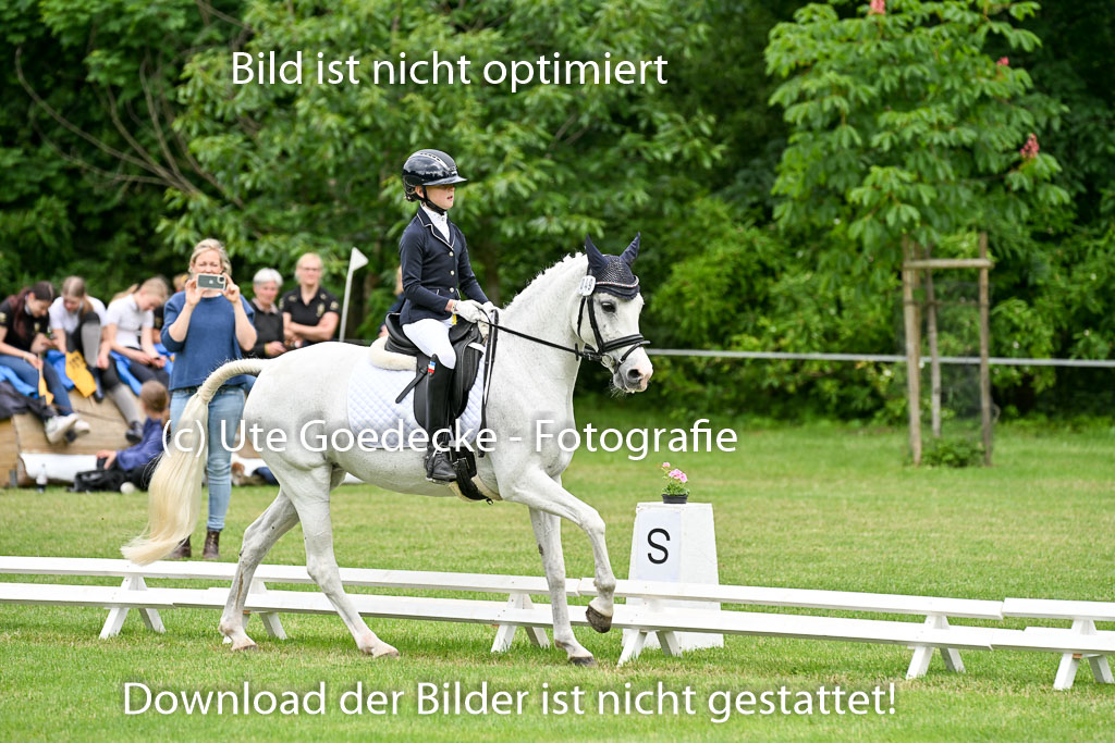  | 30052025 Dressur  (1182) 