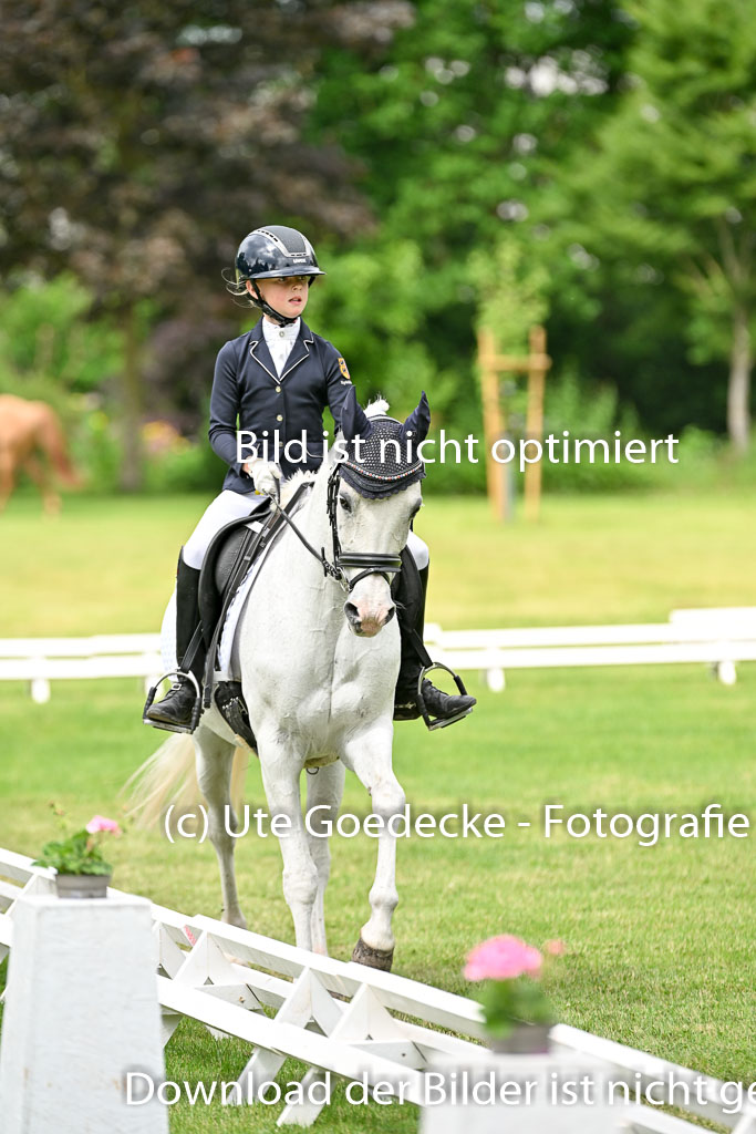  | 30052025 Dressur  (1191) 