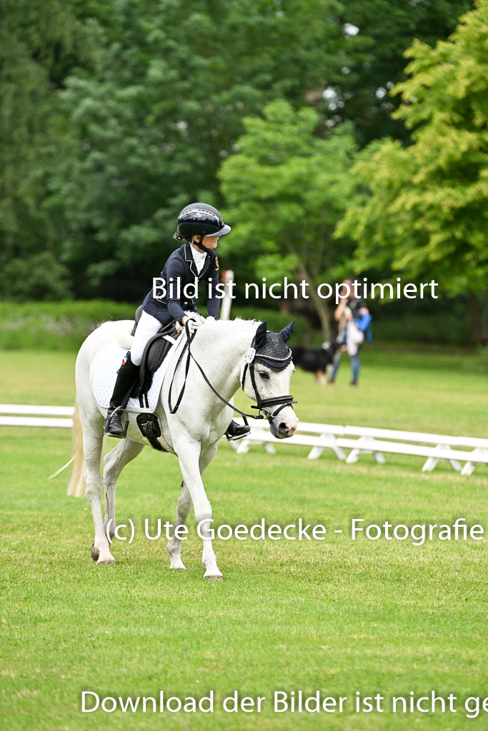  | 30052025 Dressur  (1199) 