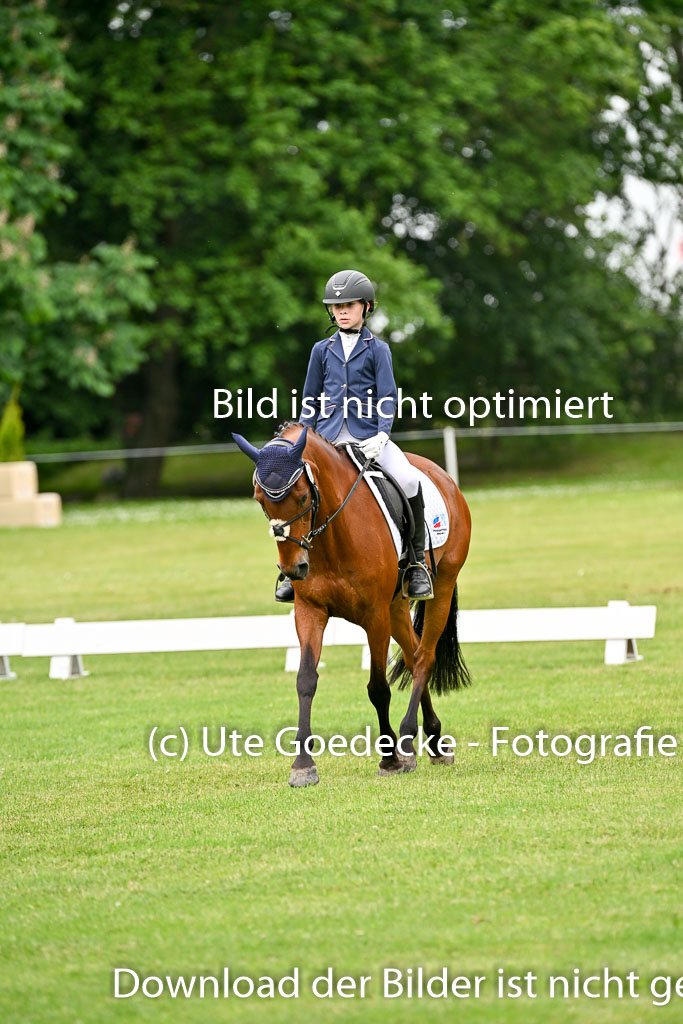  | 30052025 Dressur  (1201) 