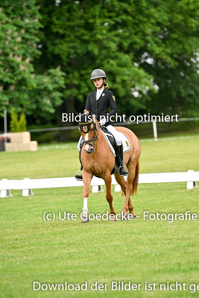 | 30052025 Dressur  (1216) 