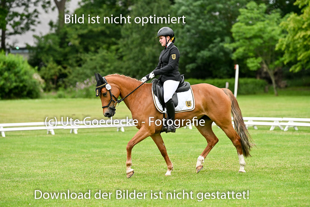  | 30052025 Dressur  (1242) 