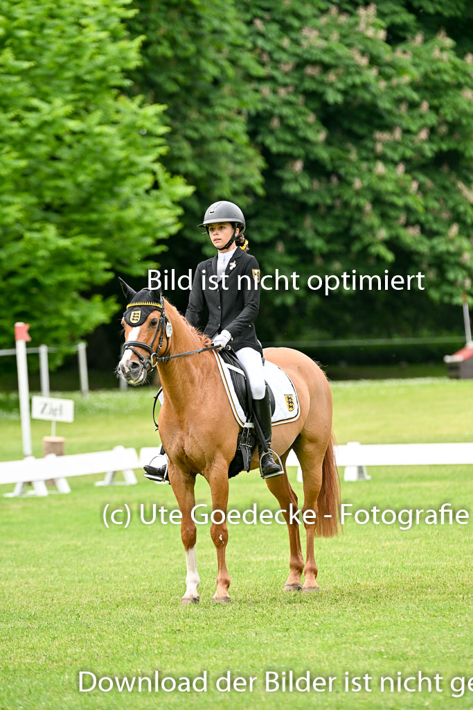  | 30052025 Dressur  (1248) 