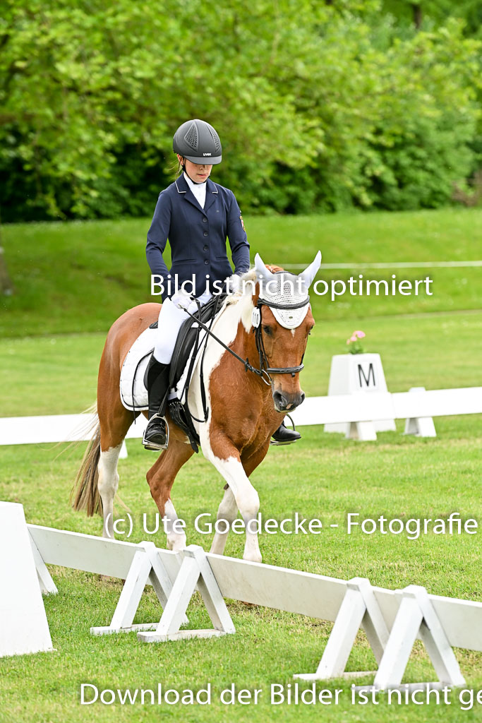  | 30052025 Dressur  (1252) 