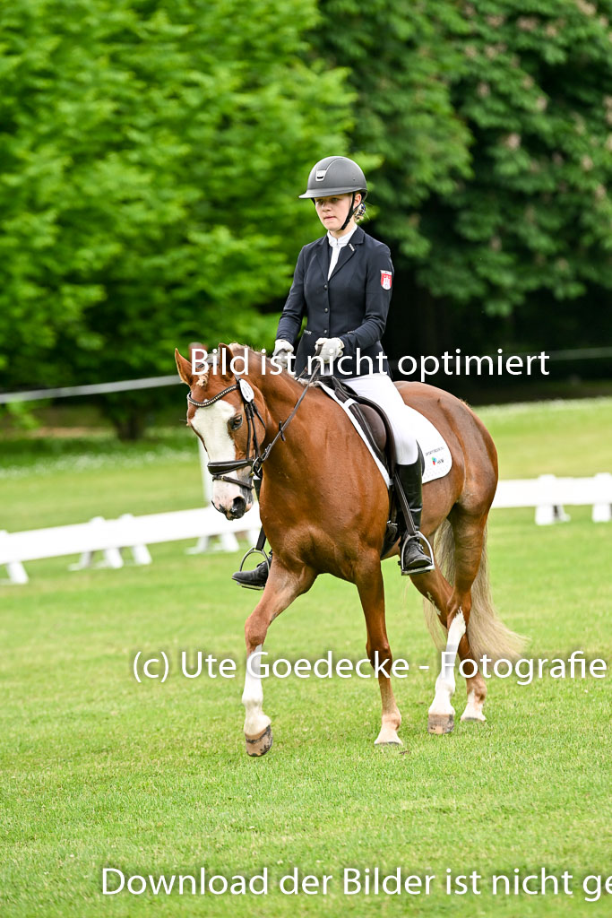  | 30052025 Dressur  (1283) 