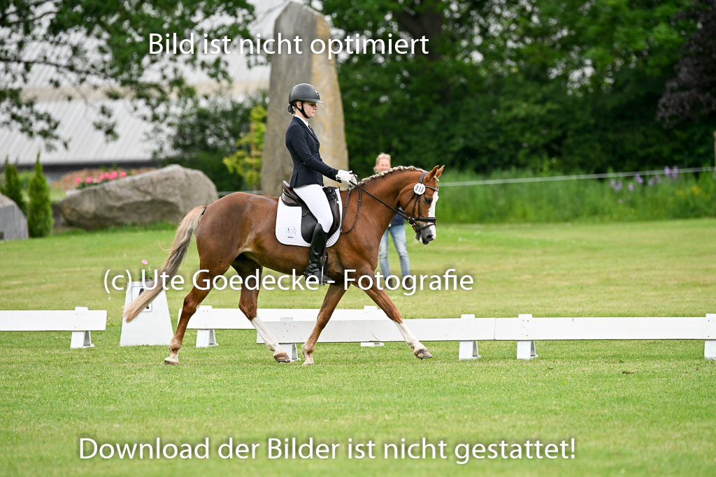  | 30052025 Dressur  (1288) 