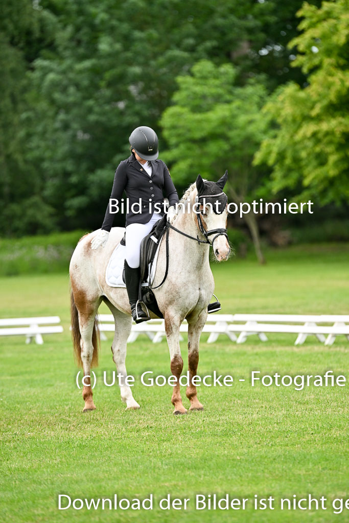  | 30052025 Dressur  (1296) 