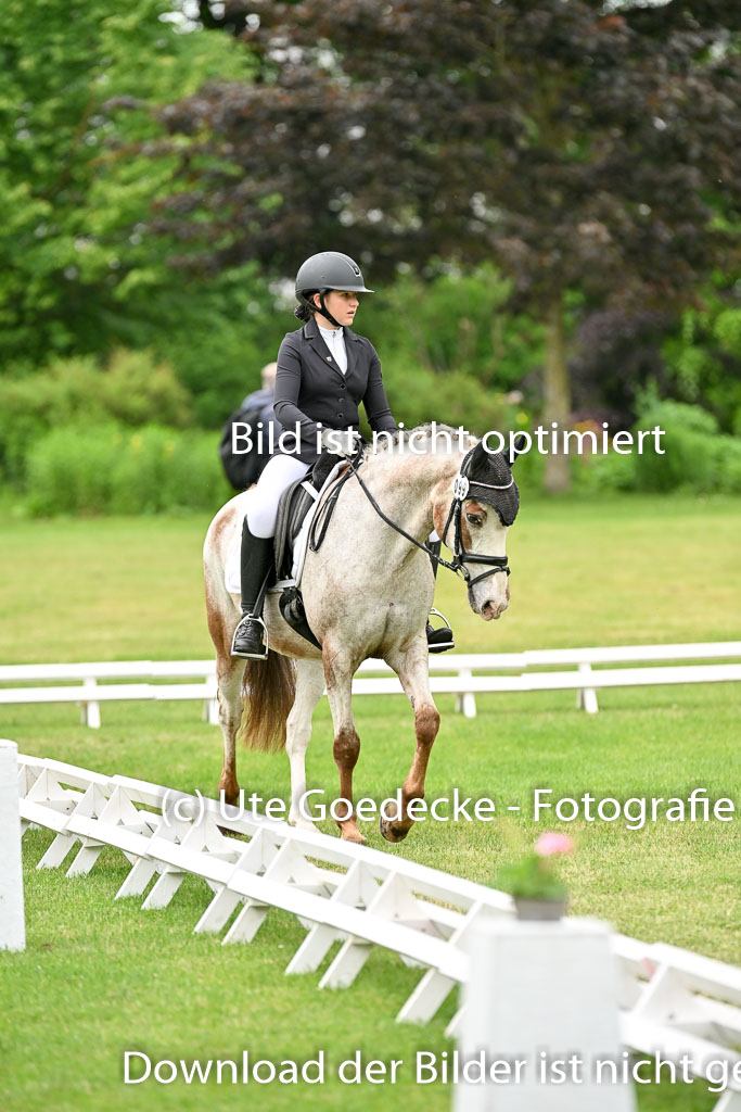  | 30052025 Dressur  (1301) 