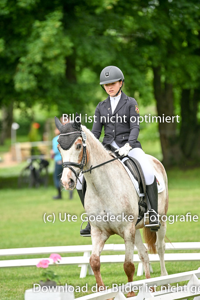  | 30052025 Dressur  (1304) 