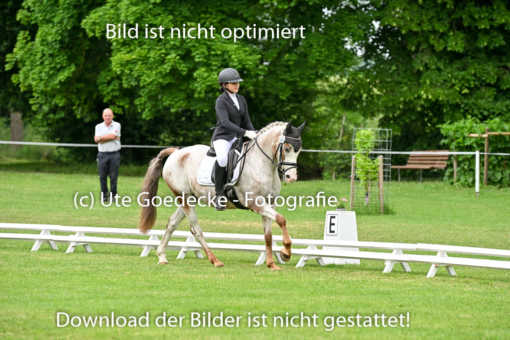  | 30052025 Dressur  (1307) 