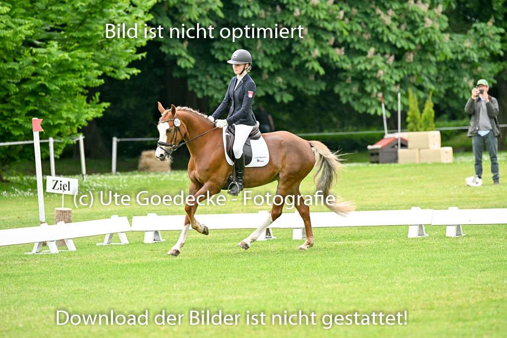  | 30052025 Dressur  (1310) 