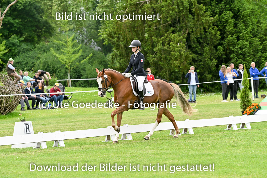  | 30052025 Dressur  (1312) 