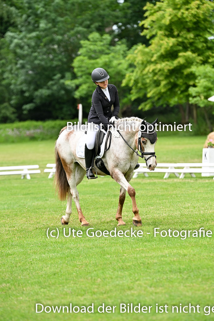 | 30052025 Dressur  (1323) 
