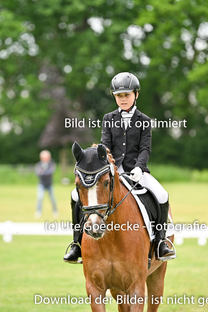  | 30052025 Dressur  (1325) 