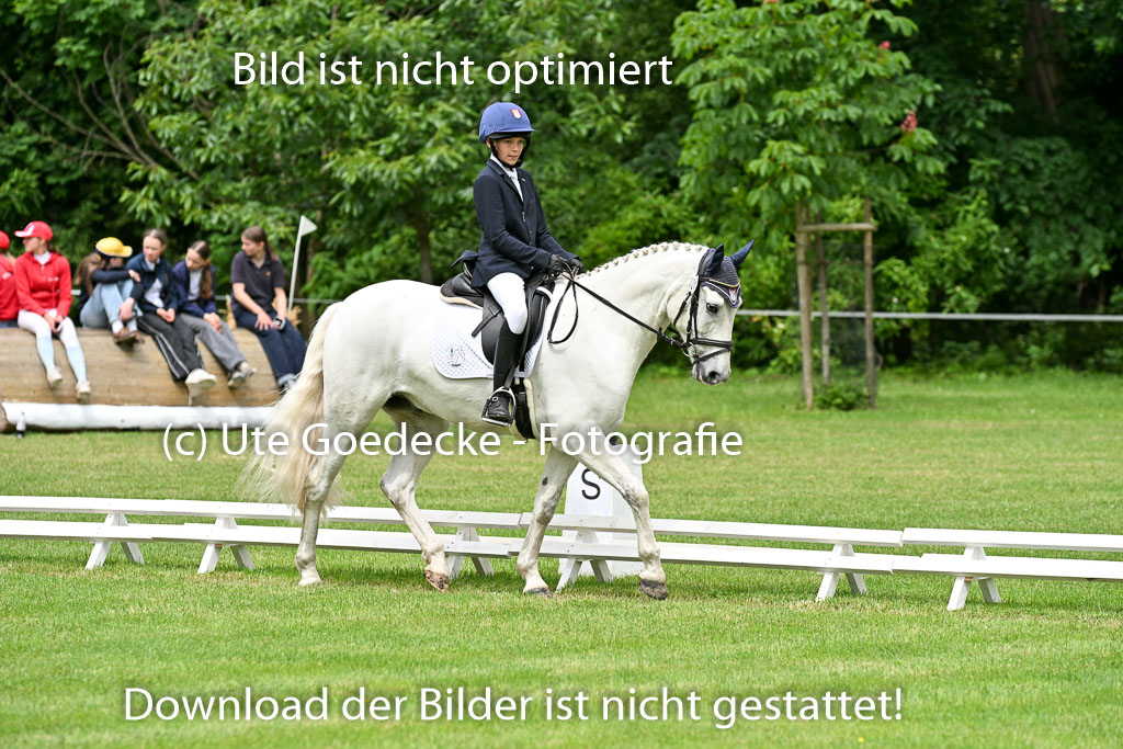  | 30052025 Dressur  (1328) 