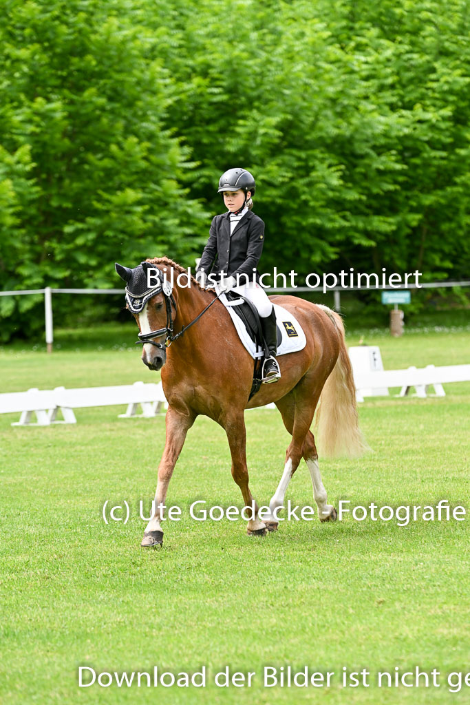  | 30052025 Dressur  (1345) 