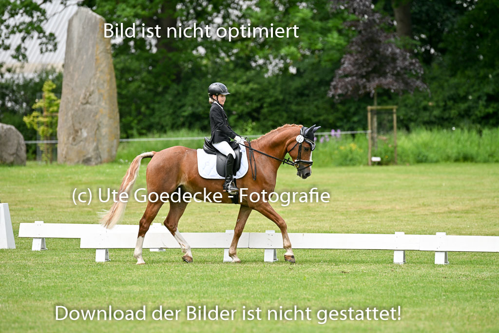 | 30052025 Dressur  (1347) 