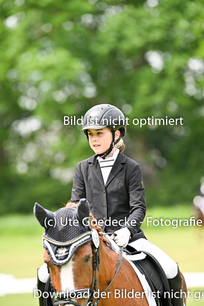  | 30052025 Dressur  (1357) 