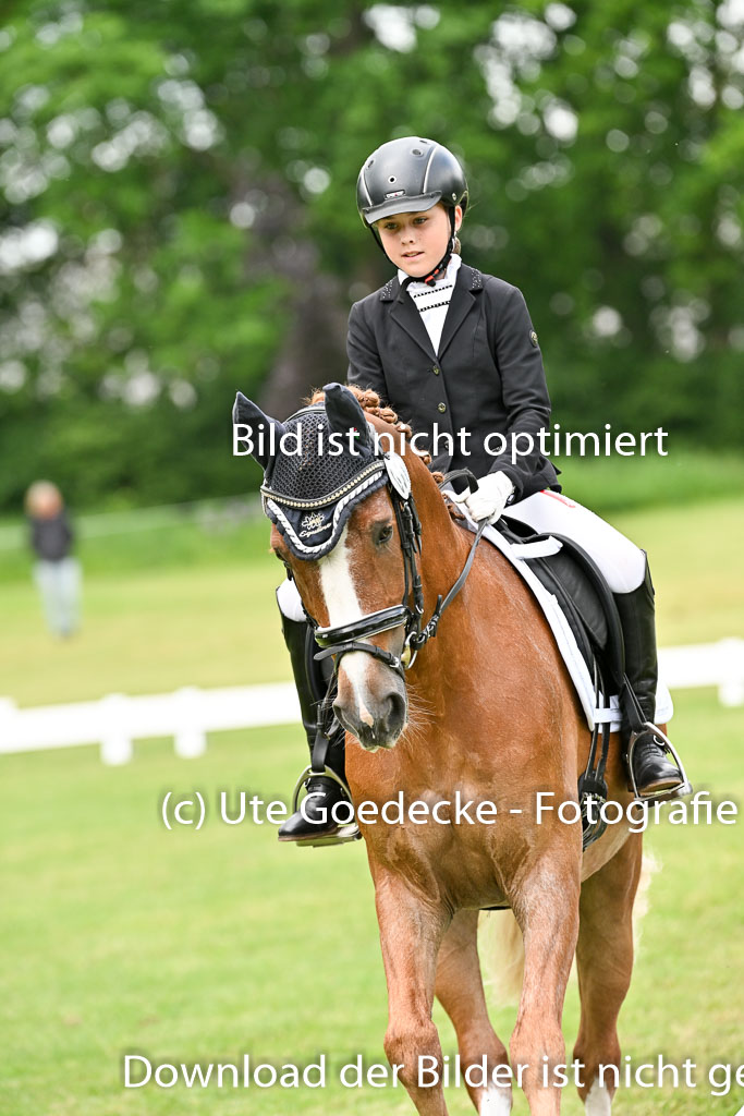  | 30052025 Dressur  (1362) 