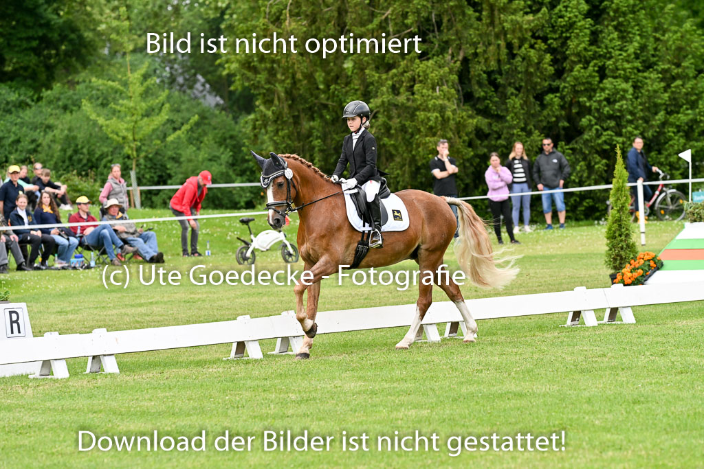  | 30052025 Dressur  (1370) 
