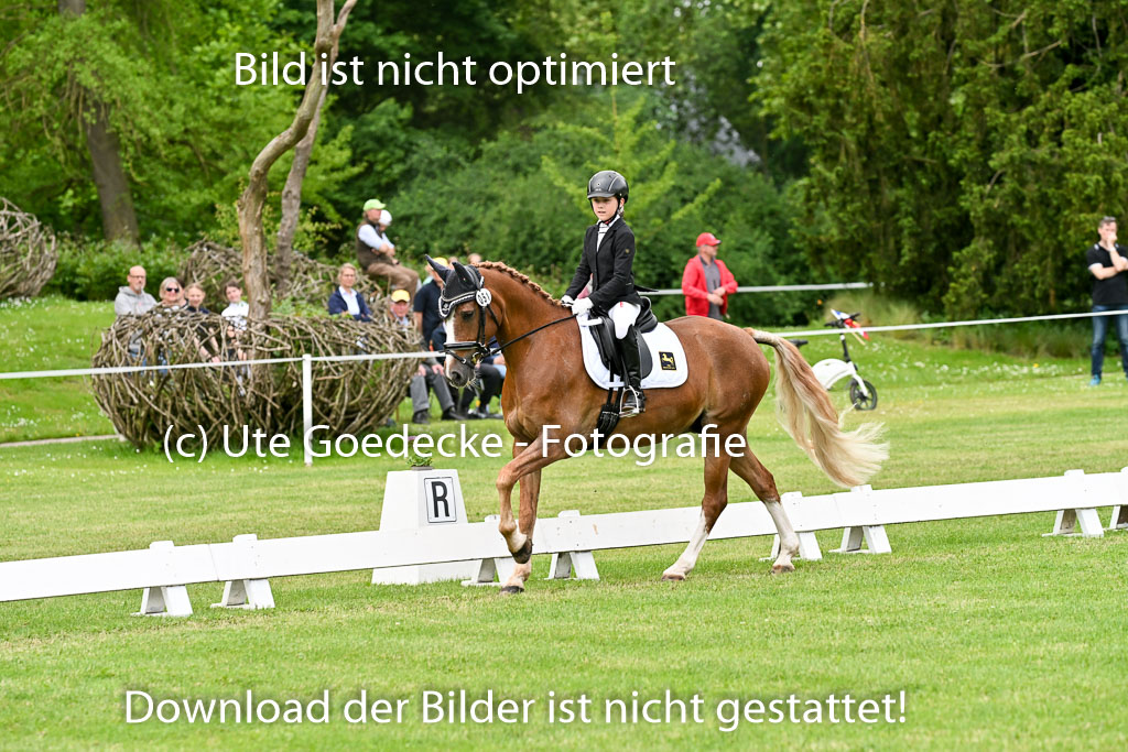  | 30052025 Dressur  (1371) 