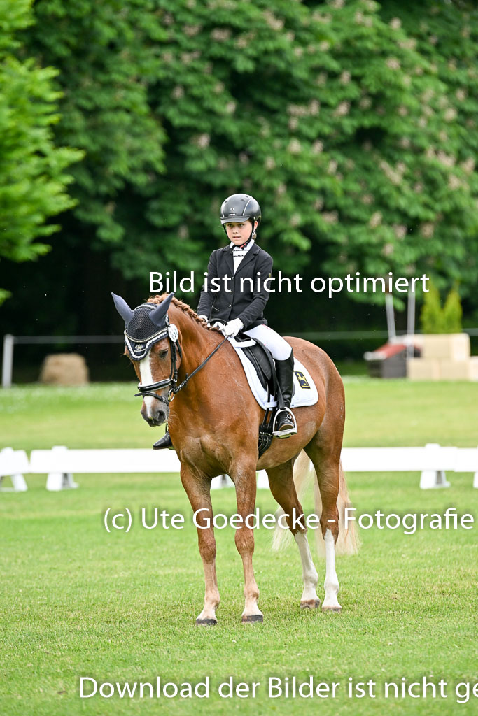  | 30052025 Dressur  (1374) 