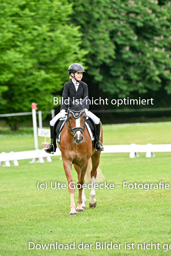  | 30052025 Dressur  (1375) 