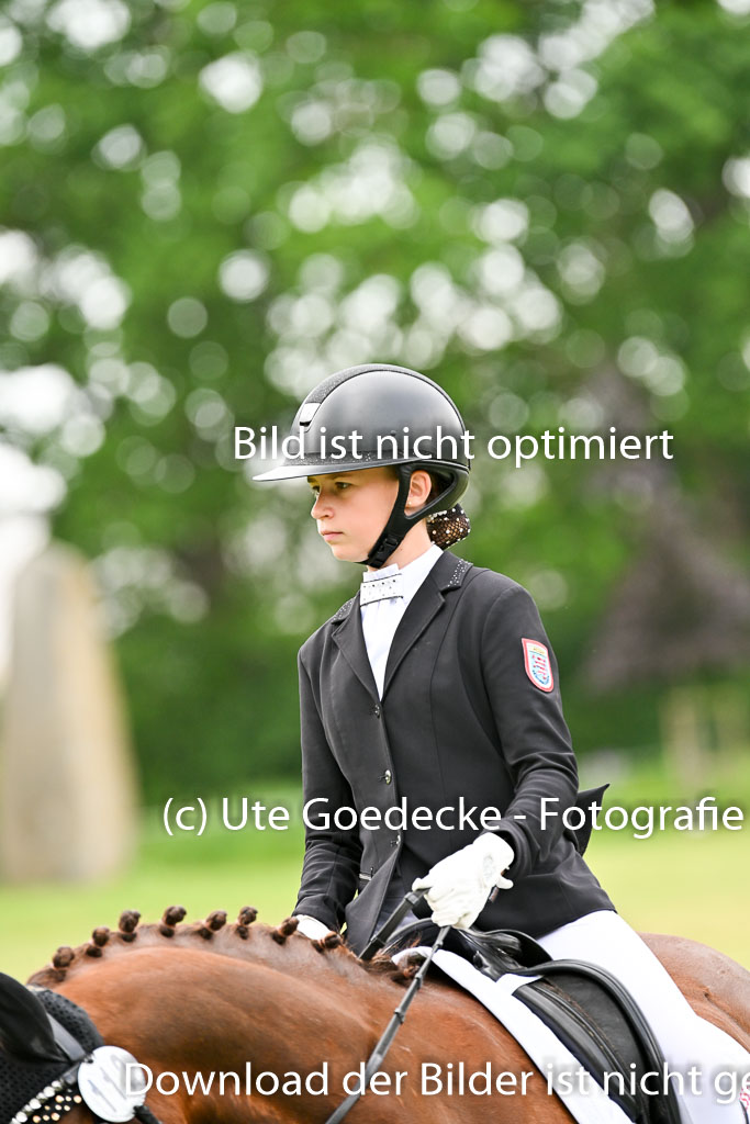  | 30052025 Dressur  (1381) 