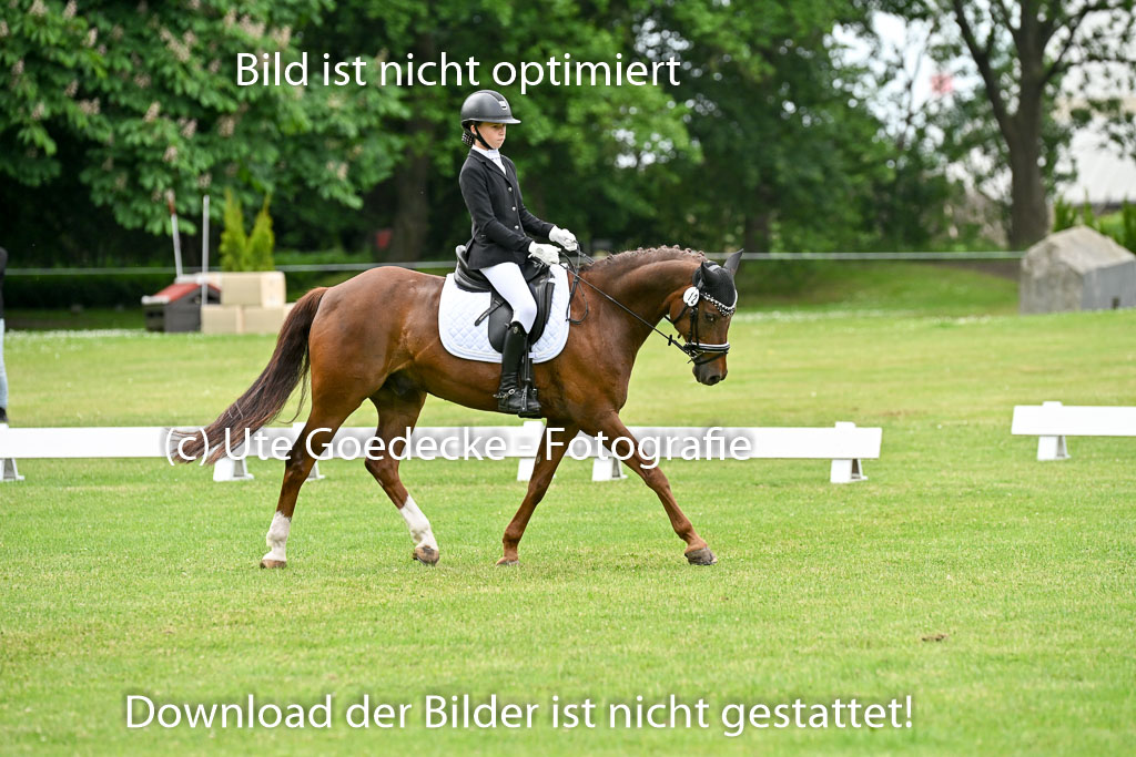 | 30052025 Dressur  (1382) 