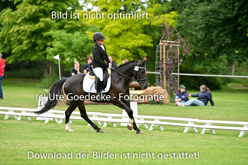  | 30052025 Dressur  (1392) 